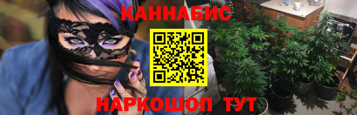 Марихуана Bruce Banner Славянск-на-Кубани